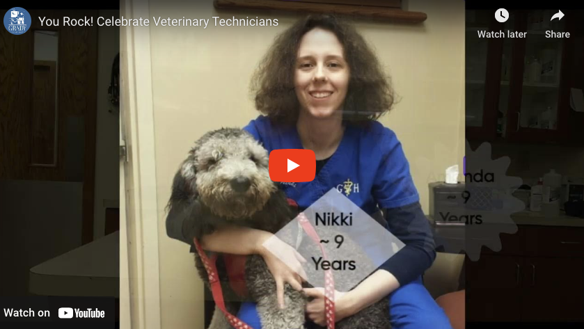 You Rock! Celebrate Veterinary Technicians